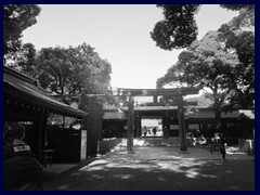 Meji Shrine 38